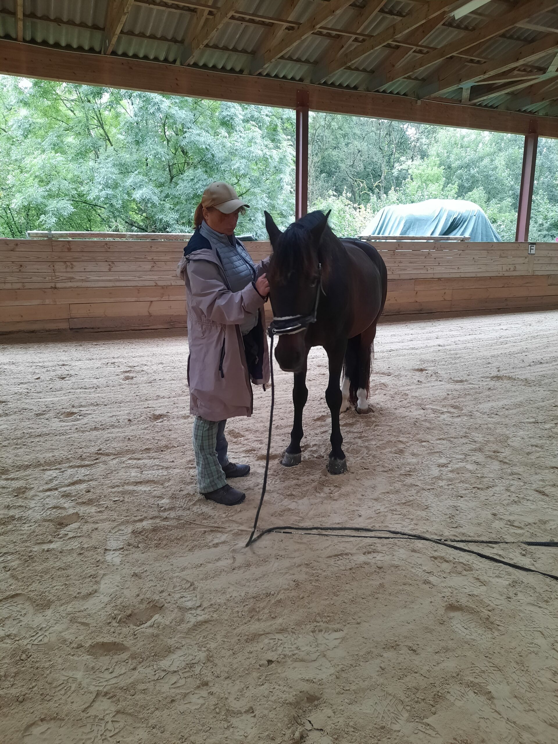 Reitstall-zur-Schaeferei-Jenny_Weidert-Dal-Reitunterricht-Reitstunde-Reitlehrerin-Trier-Ralingen-Rheinland-Pfalz-Saarland-Luxemburg